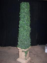 Topiary 6' Boxwood w/lights